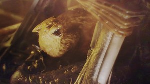 422 reactions · 49 shares | Sideshow Collectibles offers stunning screen-accurate xenomorphs from the Alien movies, including officially licensed Alien figures, Alien statues, Hot Toys' Aliens, and Alien toys. See you on the ready line, Marines! | Sideshow Collectibles | Facebook