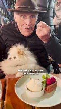 87-Year Old Man Pampers His Dog Like A Princess | The Dodo