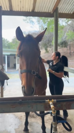 14 reactions | Two sisters first lessons First riding lessons for...