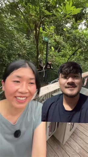 Pygathrix Nemaeus: Unique Red-Shanked Douc