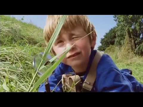 Petites bêtes et compagnie - FILM COMPLET VF