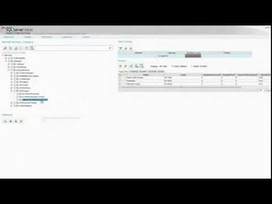 Master Data Services