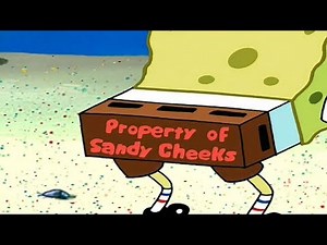 Spongebob Squarepants - Property Of Sandy Cheeks