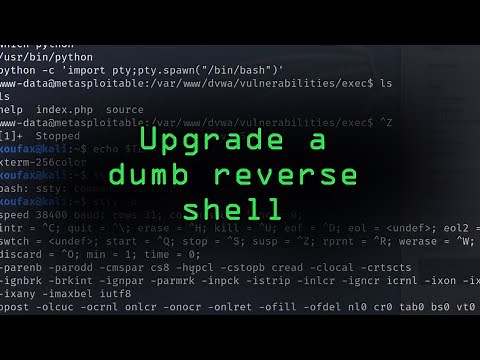 How to Upgrade a Dumb Shell to a Fully Interactive Shell for More Flexibility