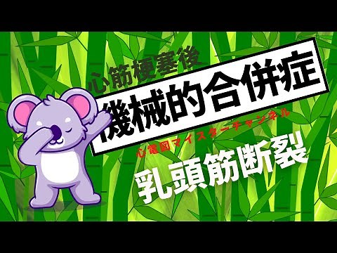 [Mechanical complications] [Specific discussion] Papillary muscle rupture