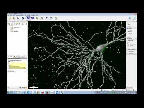Introduction to Image Analysis using Imaris
