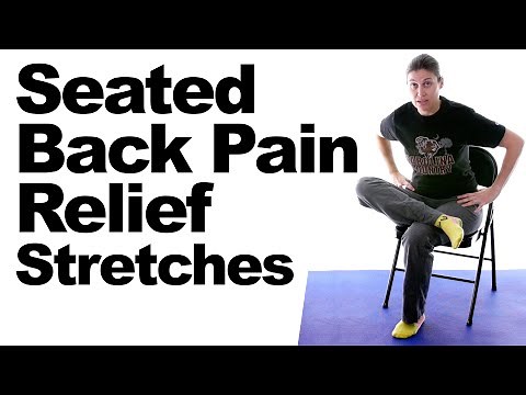 Seated Back Pain Relief Stretches