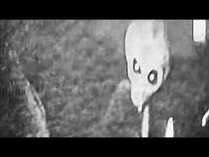 The 1997 Alien Interview w/ "Victor"