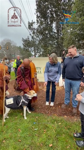 Walk for Peace on Instagram: "🙏 Good Morning from Peachtree City - This morning, we were in Peachtree City, Georgia. Thank you so much for the warm welcome we received here. Your kindness touches our hearts and reminds us why we walk—to share peace, to connect hearts, to walk together. We are deeply grateful. 🙏 Day 65 - 12/29/2025 May you and all beings be well, happy and at peace. 🙏 #WalkForPeace #Buddhistmonks #AlokathePeaceDog #PeachtreeCity #Georgia"
