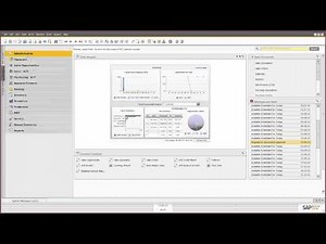 SAP Business One: Complete ERP Overview & Interface Demo