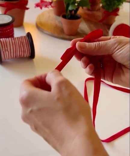 Noeuds rapides et facile