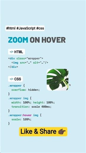 🔎 Zoom on Hover #css #html #javascript #js #zoom #animation #coding #webdevelopment #tips #tricks