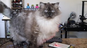 How to run a script at start-up on a Raspberry Pi using crontab - Raspberry Pi