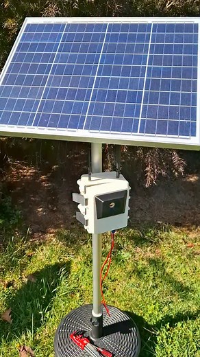 4.6K views · 93 reactions | My Raspberry Pi 5 + AI HAT Wildlife Identifier #raspberrypi #raspberrypi5 #ai #chatgpt #cyberdeck #raspberrypiprojects #raspberrypizero #linux #pihat #iot #internetofthings | Ubuntu Maniax | Facebook