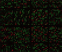 Expression Profiling with Microarrays
