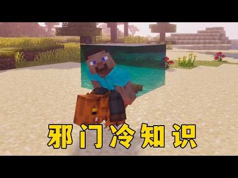 我的世界：都2026年了，它怎麼還有冷知識？ #我的世界 #Minecraft #麥塊