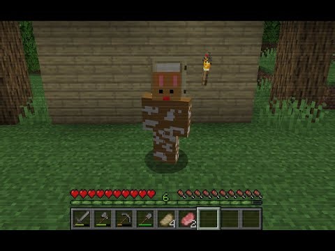 Minecraft The Broken Script | Episode 1