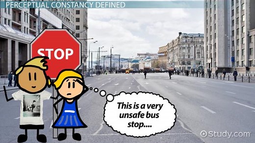 Perceptual Constancy | Definition, Types & Examples