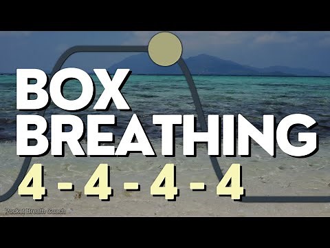Guided Box Breathing: 4-4-4-4