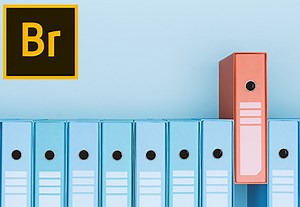 How to Organise Your Photos for Free With Adobe Bridge (Quick Start Guide) | Envato Tuts