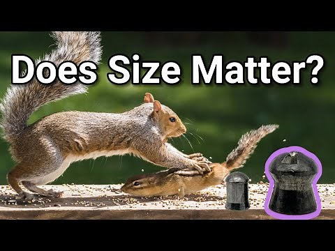 Squirrels Vs Chimpunks... 9mm or pellets that go BOOM!