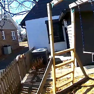 48K views · 2.3K reactions | My parents thought their Yorkie sulked around the house all day when they were gone. Turns out he's been escaping to have adventures. This is him coming home. | James Breakwell, Exploding Unicorn | Facebook