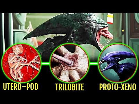 Proto-Xenomorph Entire Life Cycle Explained In Detail - The Creature That Evolved Into Xenomorph!