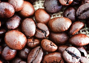 4 Types of Coffee Beans to Try: Differences and Flavor Factors | EnjoyJava