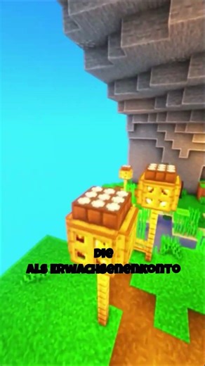 😲 Du kannst Minecraft nicht spielen, wenn du unter 18 bist!