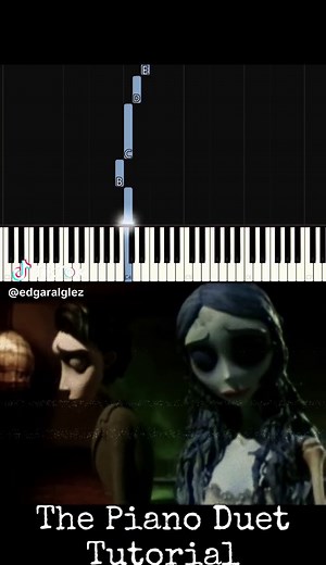 Tutorial del cadaver de la novia #pianotutorial #easypiano #fyp #piano #music #tutorialpiano #howtoplay #pianofacil #tocapiano #clasedepiano #musictutorial #learpiano #viralpiano #pianotok #pianotiktok #foryoupgage #tutorials #aprendepiano #learningpiano #medley #synthesiapiano #synthesiapianocover #synthesia🎹 #synthesiatutorial #corpsebride #corpsebridemovie #corpsebrideemilly #corpsebridevictor #corpsebridetutorial #thpianoduet #pianoduet #timburton #elcadaverdelanovia #elcadaverdelanoviatimb