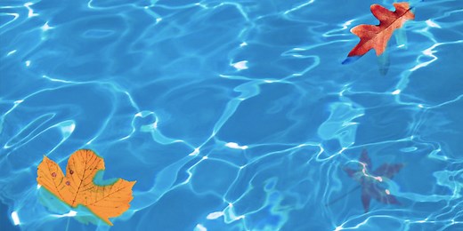 7 Best Pool Cleaners - 2024 Swimming Pool Cleaner Reviews