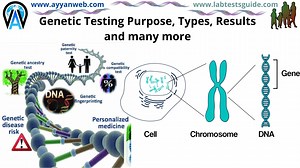 Genetic Testing Types, Purpose, Procedure, Results and Future | Lab Tests Guide