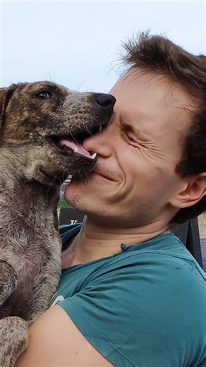 333K views · 13K reactions | His happy little wobble says it all  Aron’s helped so many broken dogs find their joy again — and it shows  See more of Aron's rescue work on Instagram: thedo.do/sun_and_sage and YouTube: thedo.do/SunandSageRescues | The Dodo | Facebook