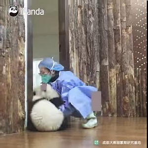 20M views · 344K reactions | Nanny, I can offer you a hand if you...