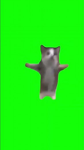 【猫ミーム素材】ハッピー ハッピー ハッピー happy happy happy cat meme green screen【グリーンバックスクリーン】#猫ミーム #動画編集 #shorts