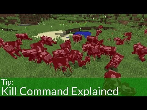 Kill Command Explained