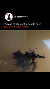 Footage of alien entity said to have grown from a meteorite | The Rabbit Hole