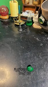 99K views · 1.8K reactions | Clown Ball Python! #reels #clown #ballpython #animals #snake #reptiles | The Molinaro Snake Lab | Facebook