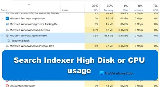 Fix Search Indexer High Disk or CPU usage in Windows 11