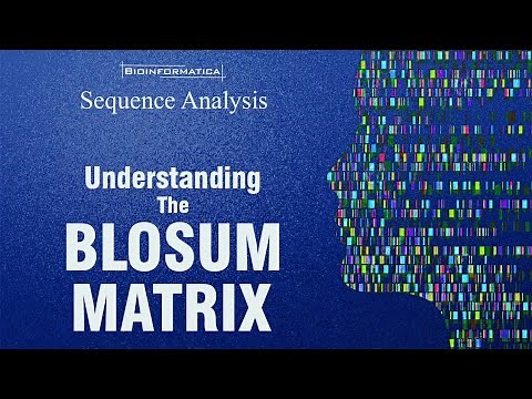 BLOSUM matrix
