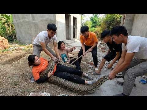 Top 5 Giant Python Rescue Moments – Brave People Saving Victims From Huge Snakes