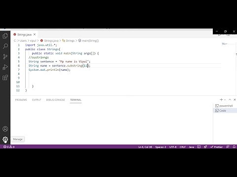 How to Fix Visual Studio Settings Not Showing Output in Terminal || Java || C++