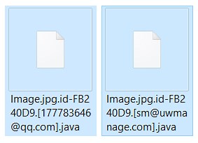 .java Files Virus (Dharma Ransomware) - Remove and Restore Files