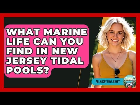 What Marine Life Can You Find In New Jersey Tidal Pools? - All About New Jersey