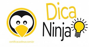 Comando dig no Linux (consulta DNS) [Guia Básico] - Certificação Linux