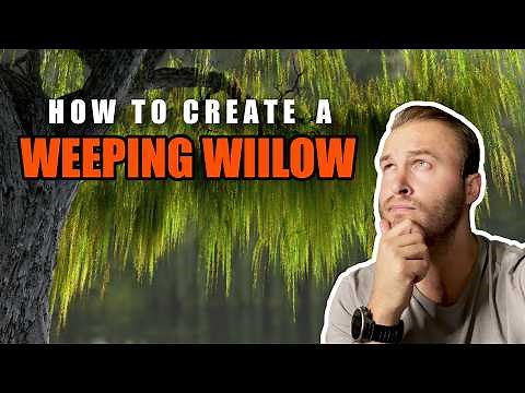 Speedtree Tutorial - How to Create a Weeping Willow Tree