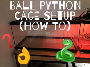 Ball Python Cage Setup 40 Gallon (How I Setup my Tanks)