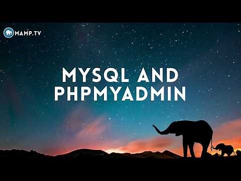 MySQL and phpMyAdmin