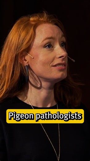 Totally not winging it: these birds were trained to diagnose cancer with 99% accuracy. 🐦 In this popular Ri talk, Hannah Fry told us about a study that definitely ruffled some feathers. Watch the full talk on computer algorithms: youtube.com/watch?v=Rzhpf1Ai7Z4 | Royal Institution of Great Britain