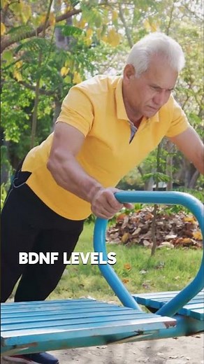 The Exercise/BDNF Connection for Brain Repair